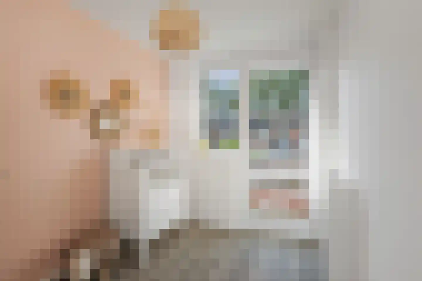 Boelenspad 6 Diepenveen thumbnail 16