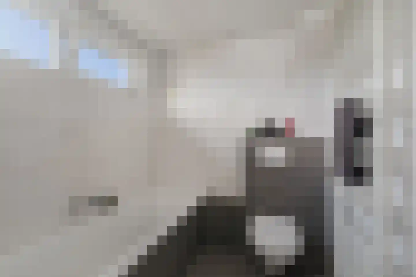 Boelenspad 6 Diepenveen thumbnail 18