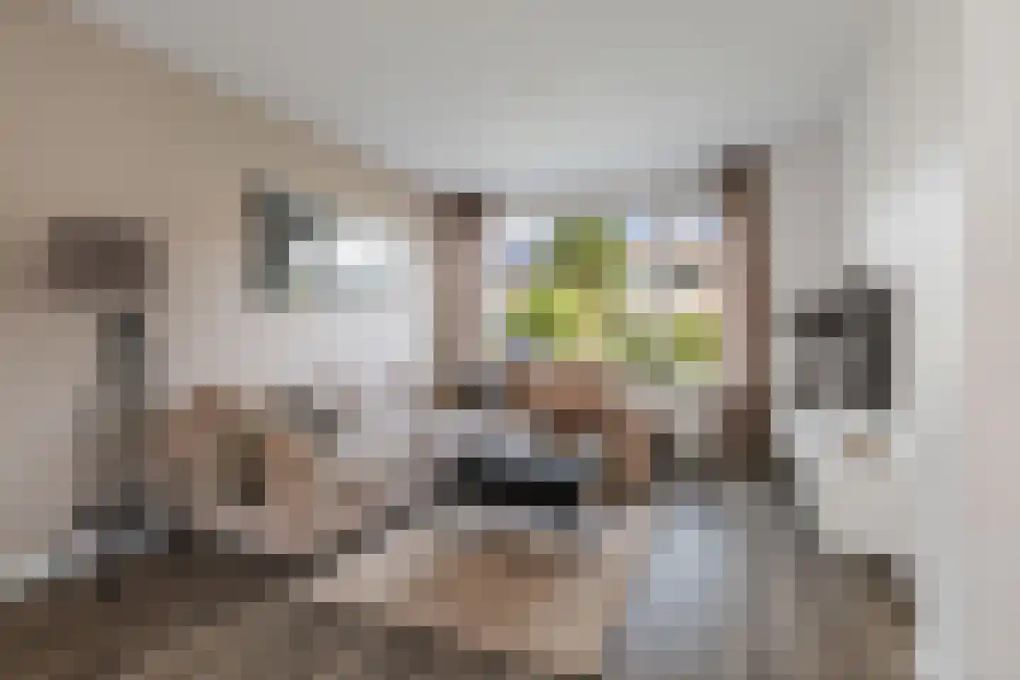 Boelenspad 6 Diepenveen thumbnail 4