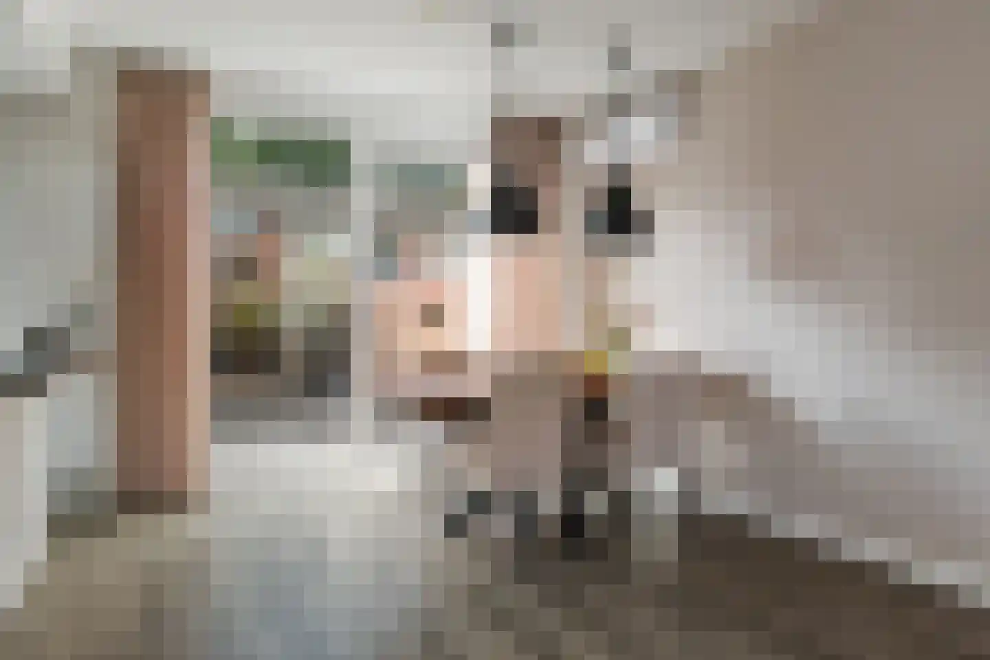 Boelenspad 6 Diepenveen thumbnail 6
