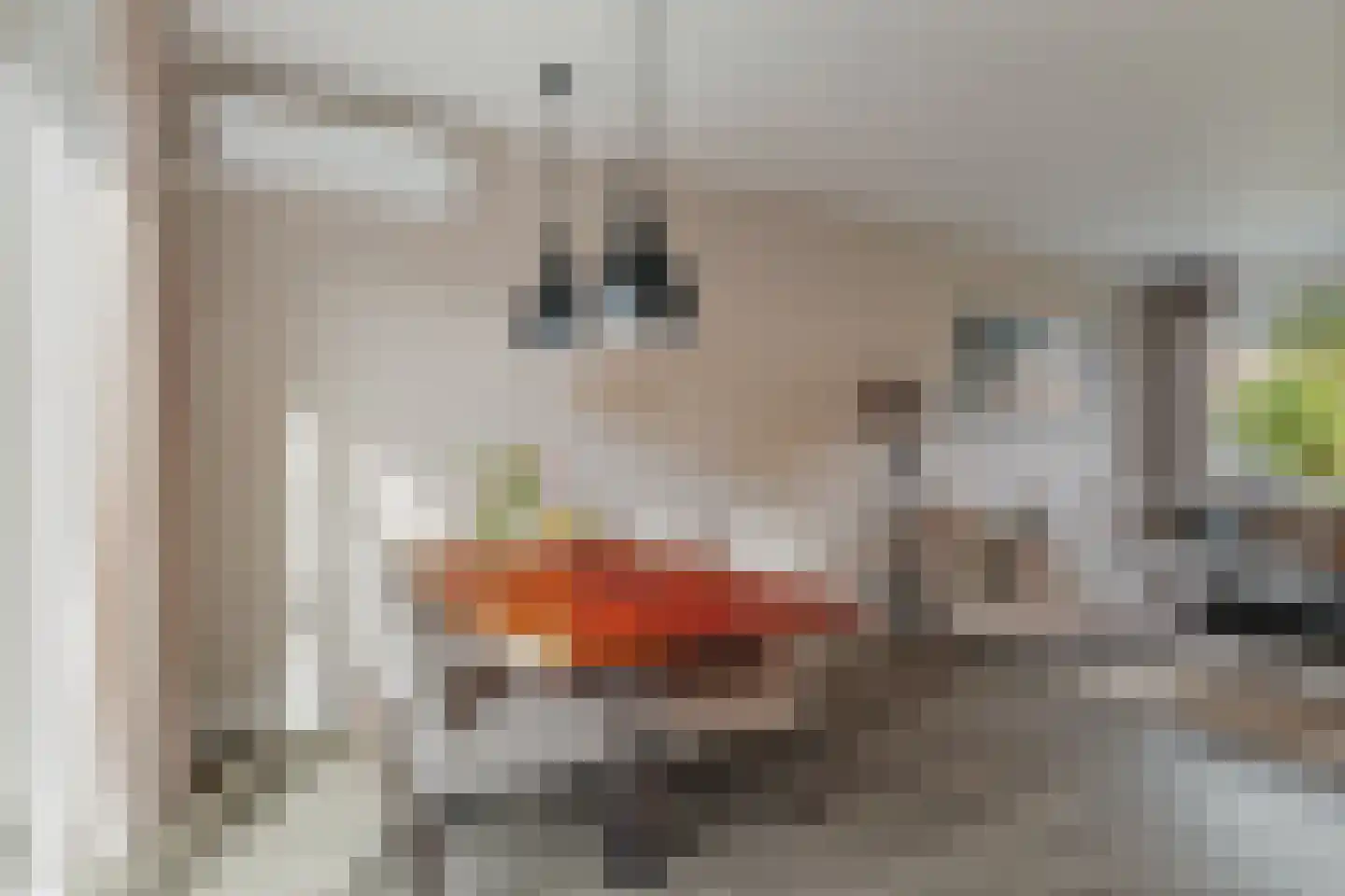 Boelenspad 6 Diepenveen thumbnail 9