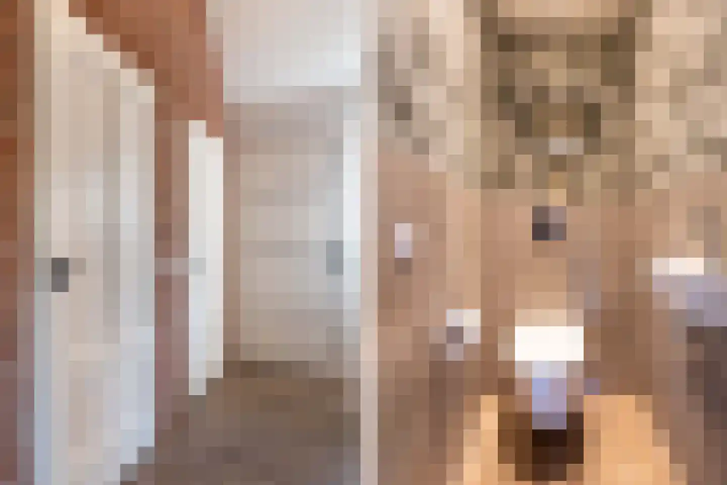 Boelenswei 7 C Boelenslaan thumbnail 14