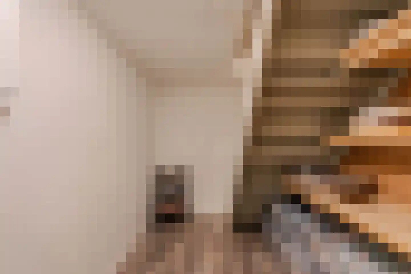Boelenswei 7 C Boelenslaan thumbnail 17