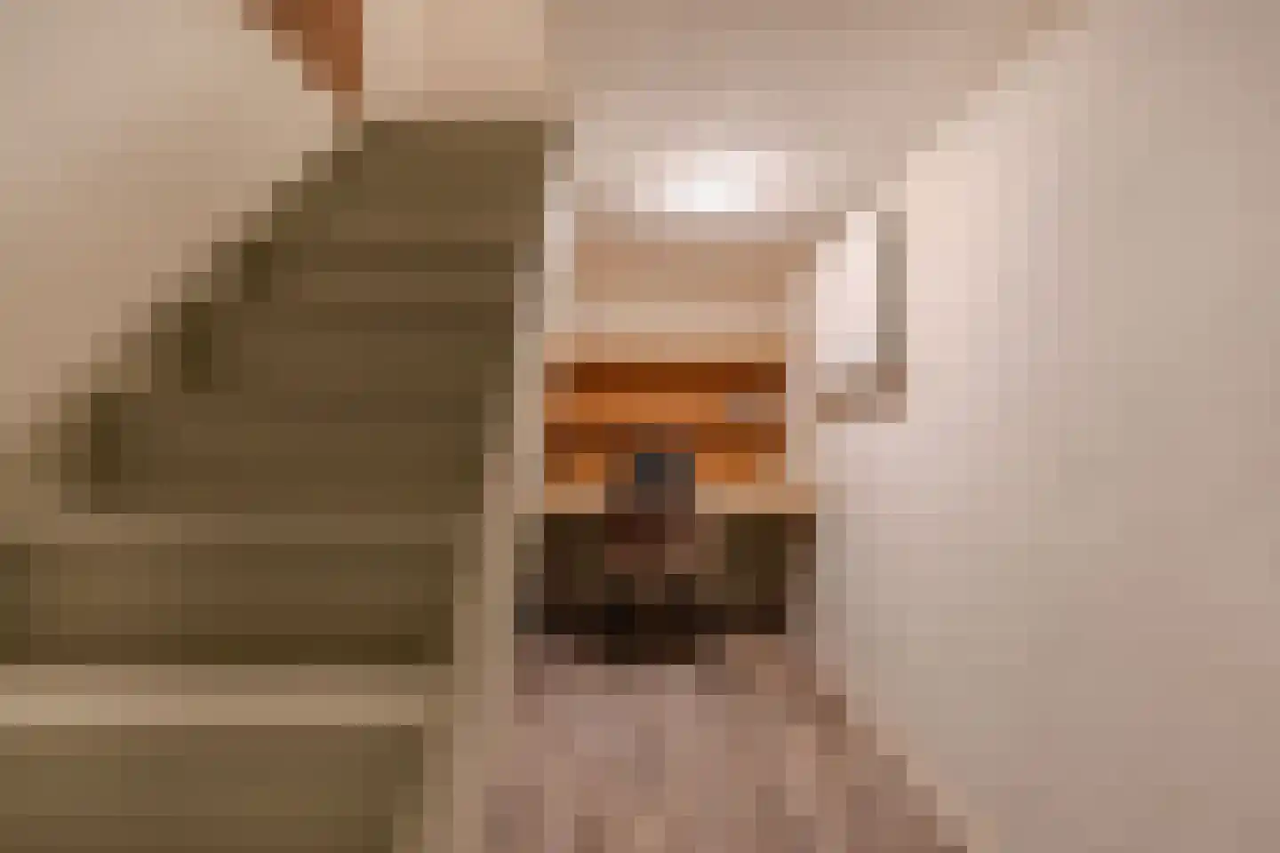 Boelenswei 7 C Boelenslaan thumbnail 18