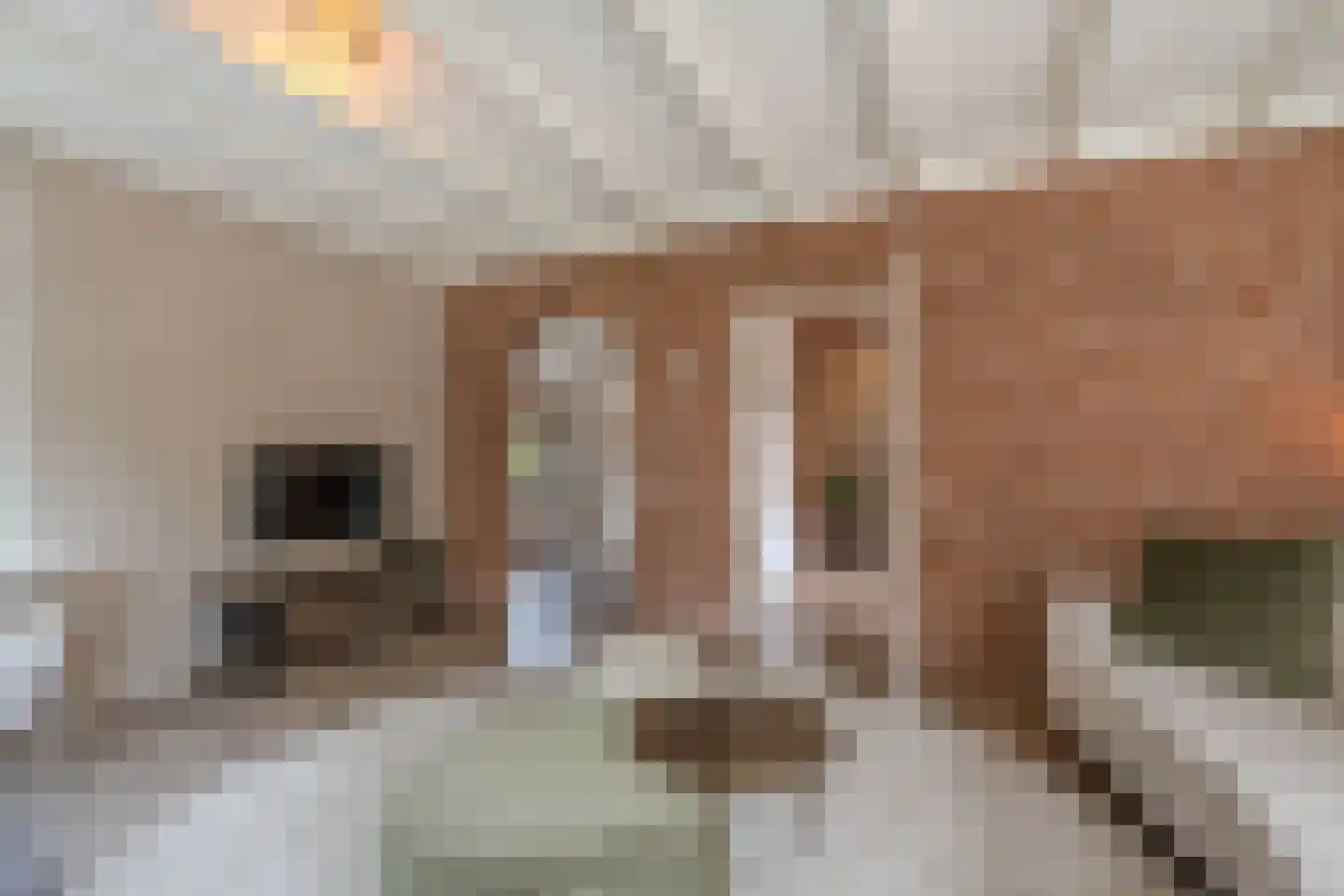 Boelenswei 7 C Boelenslaan thumbnail 19