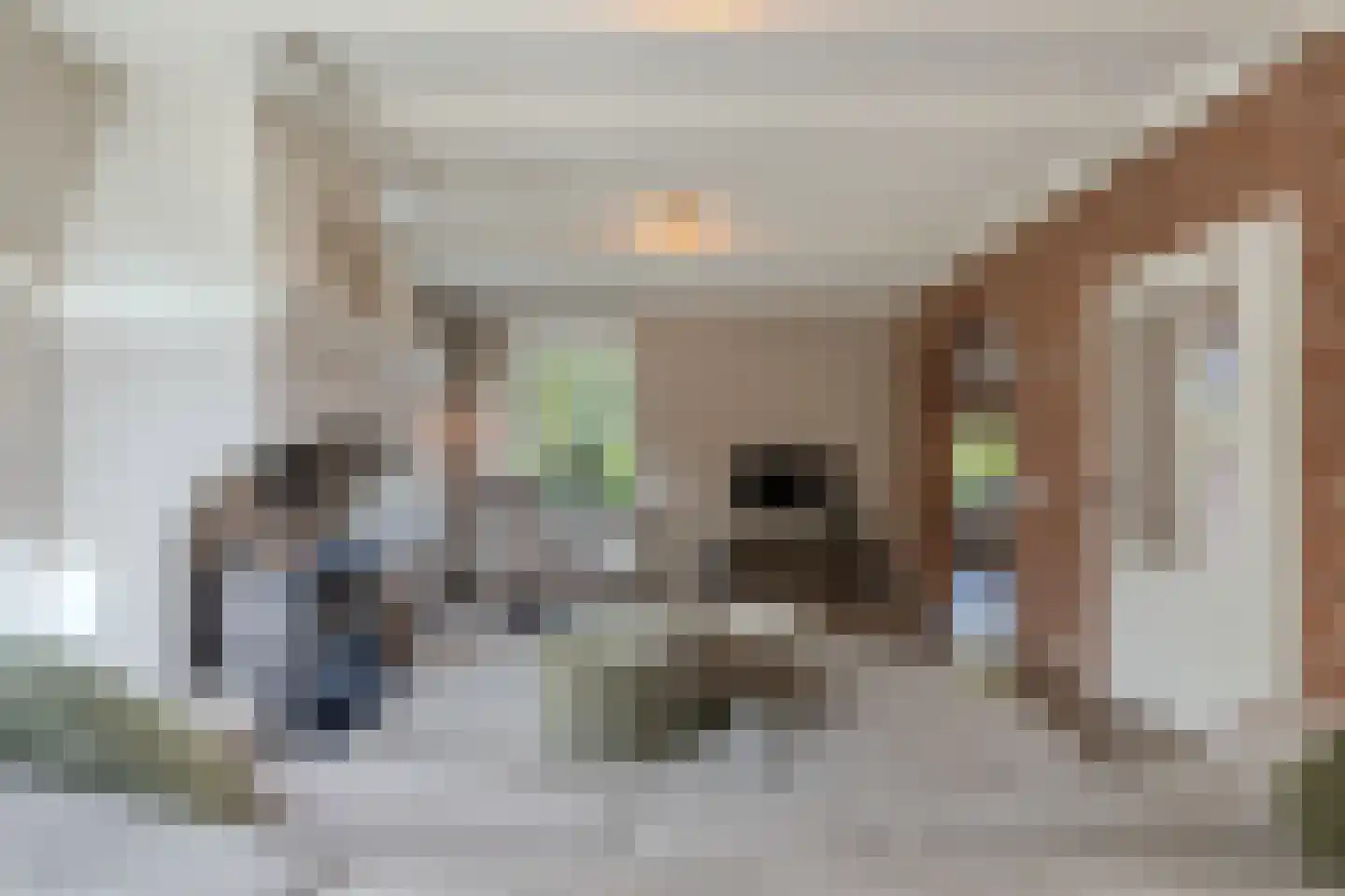 Boelenswei 7 C Boelenslaan thumbnail 20