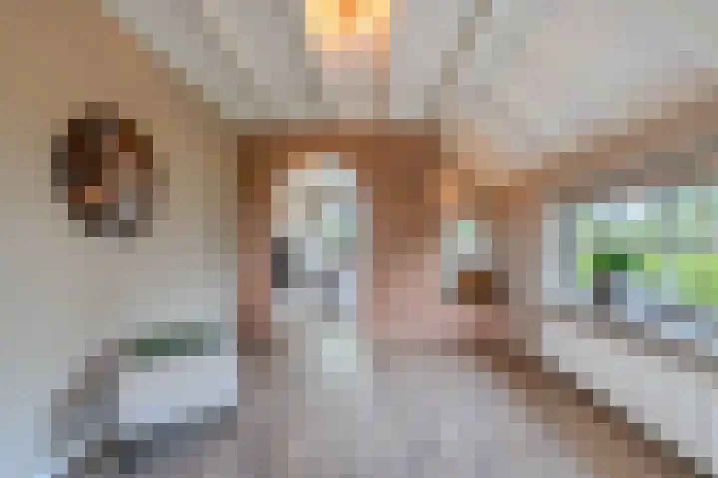 Boelenswei 7 C Boelenslaan thumbnail 23