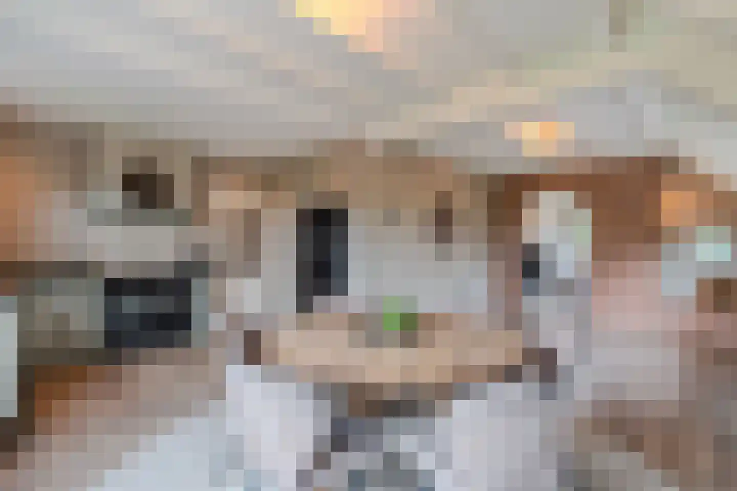 Boelenswei 7 C Boelenslaan thumbnail 25