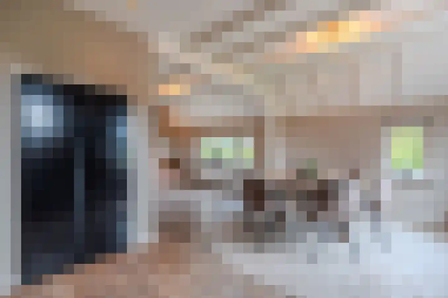 Boelenswei 7 C Boelenslaan thumbnail 28