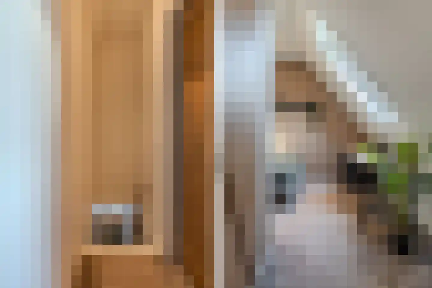 Boelenswei 7 C Boelenslaan thumbnail 42