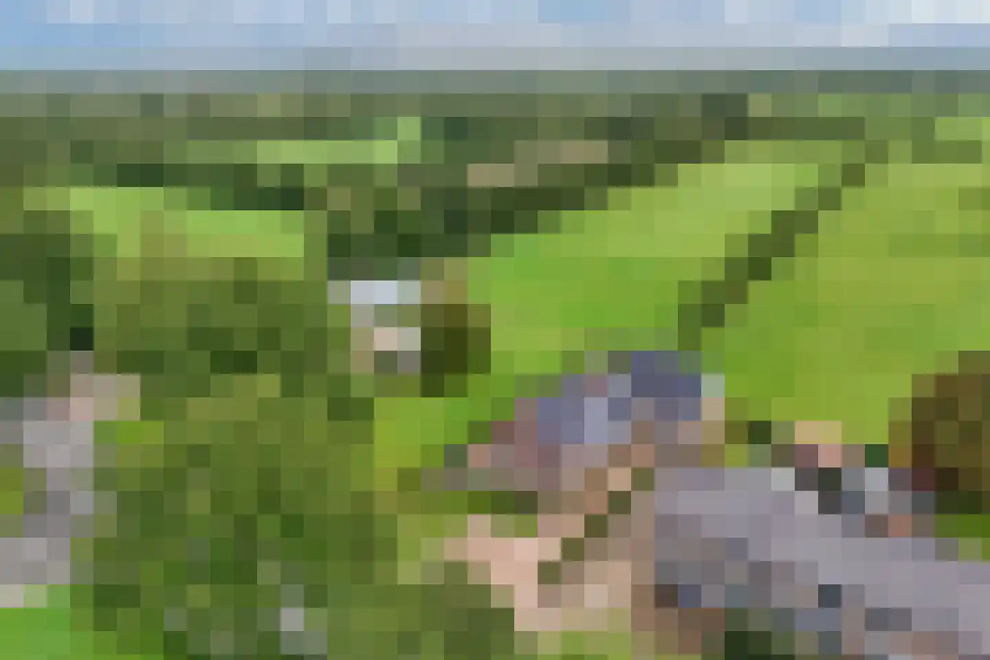 Boelenswei 7 C Boelenslaan thumbnail 5