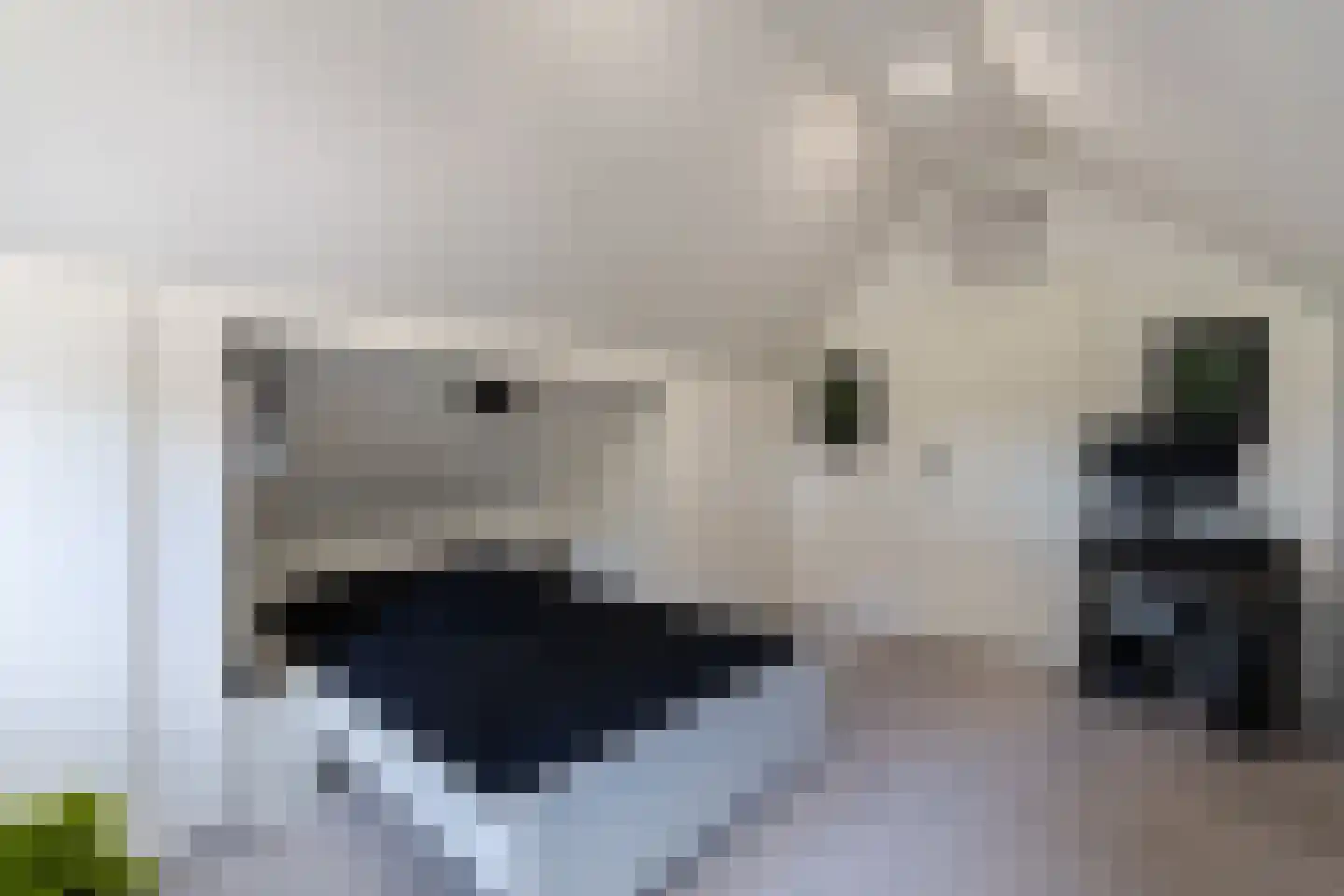 Boelenswei 7 C Boelenslaan thumbnail 50