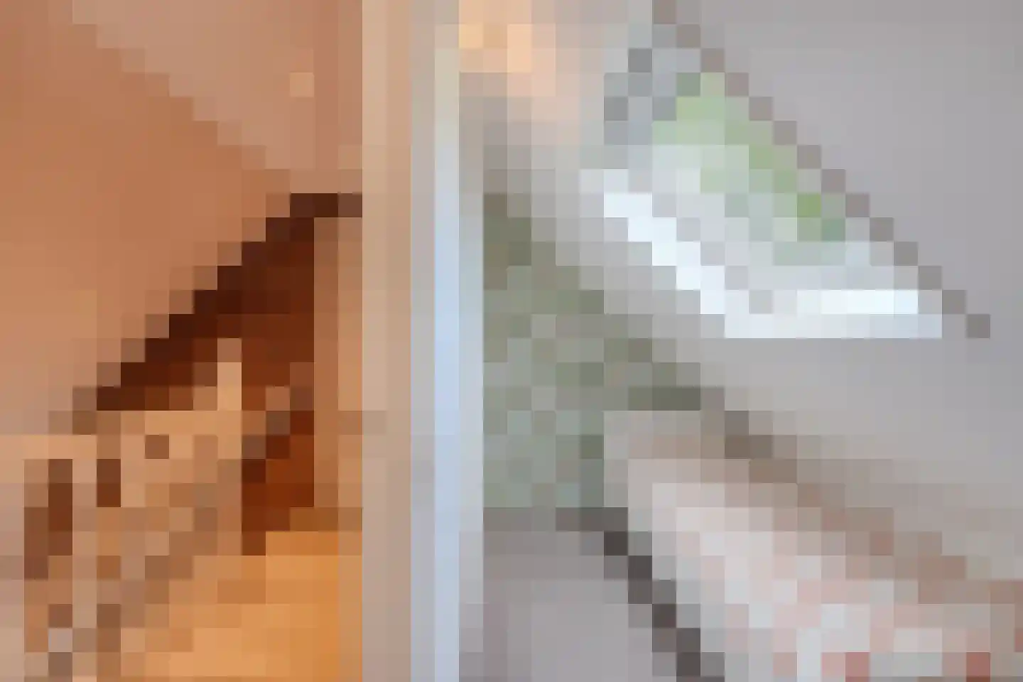 Boelenswei 7 C Boelenslaan thumbnail 52