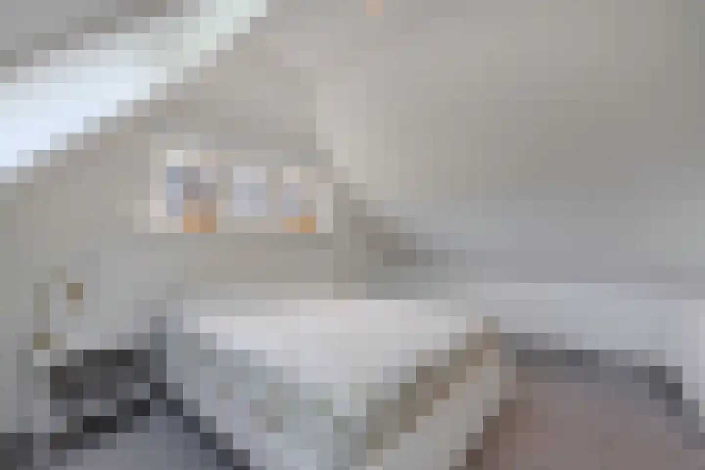 Boelenswei 7 C Boelenslaan thumbnail 55