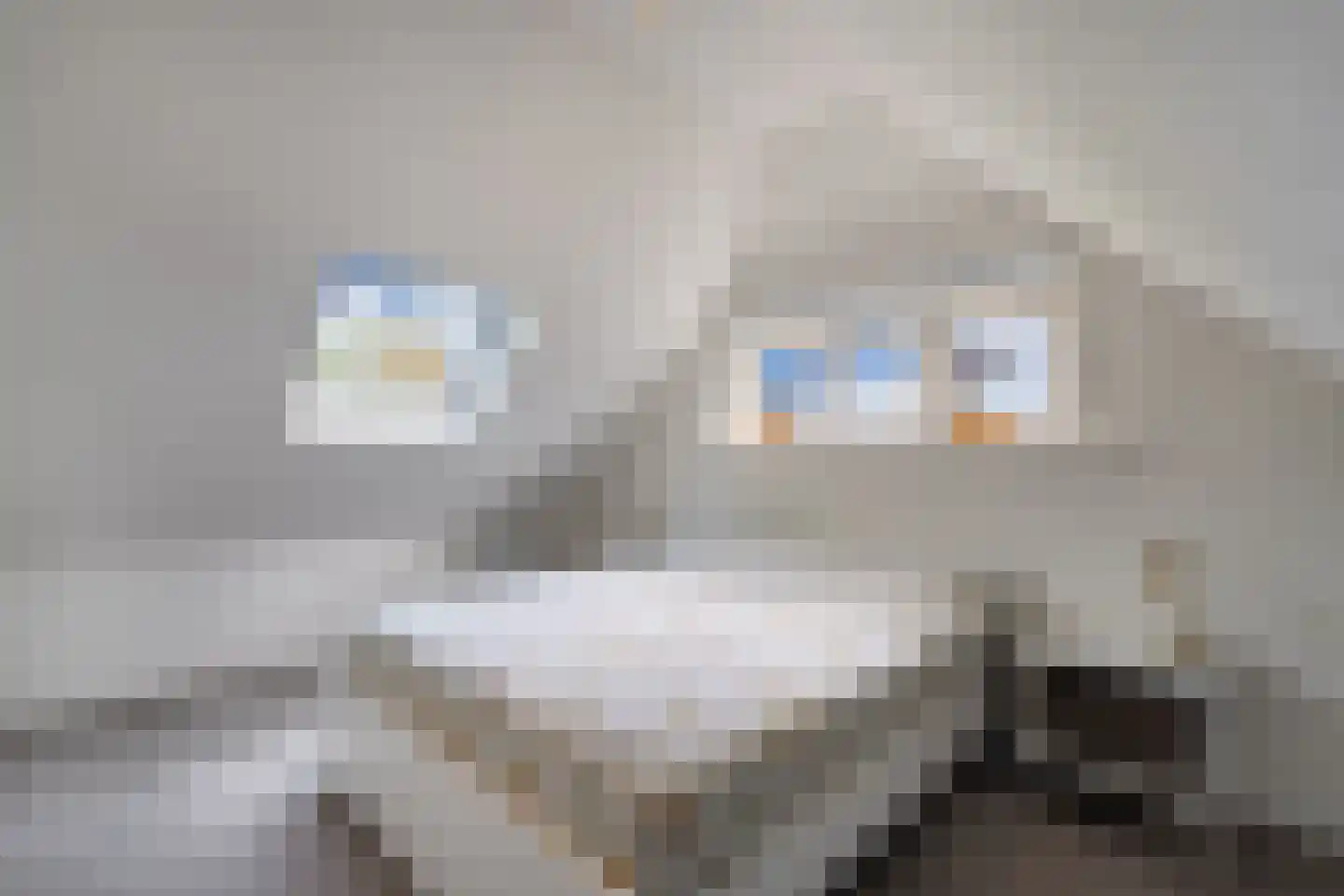 Boelenswei 7 C Boelenslaan thumbnail 56