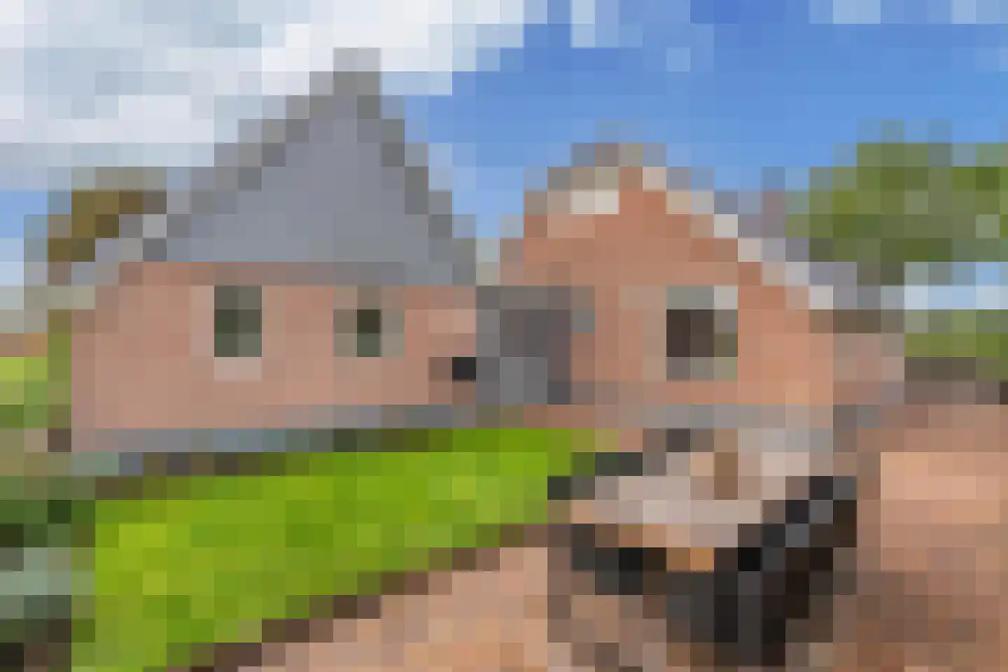 Boelenswei 7 C Boelenslaan thumbnail 57