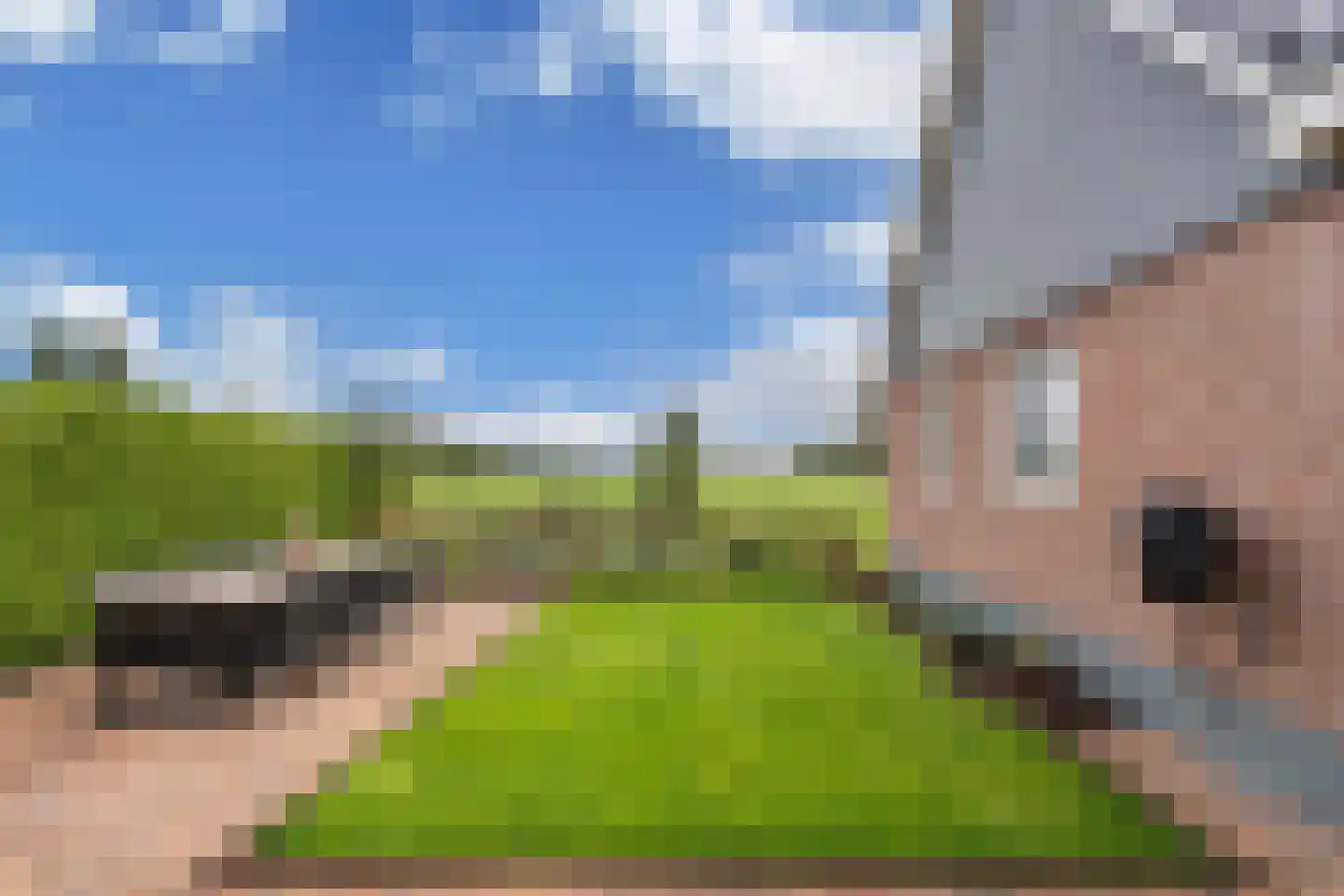 Boelenswei 7 C Boelenslaan thumbnail 59