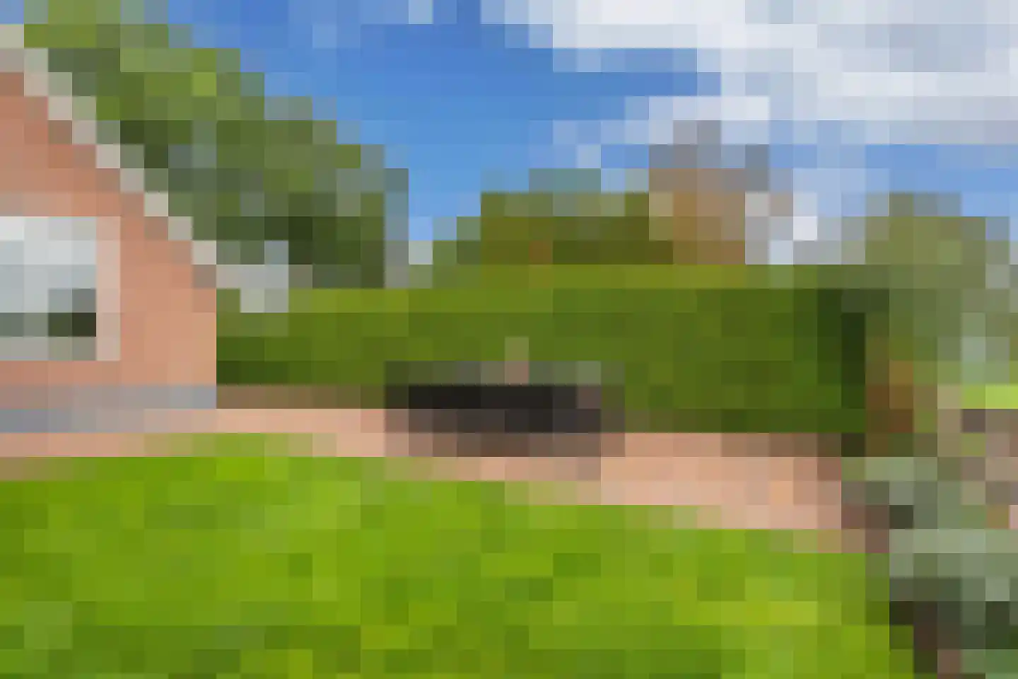 Boelenswei 7 C Boelenslaan thumbnail 60