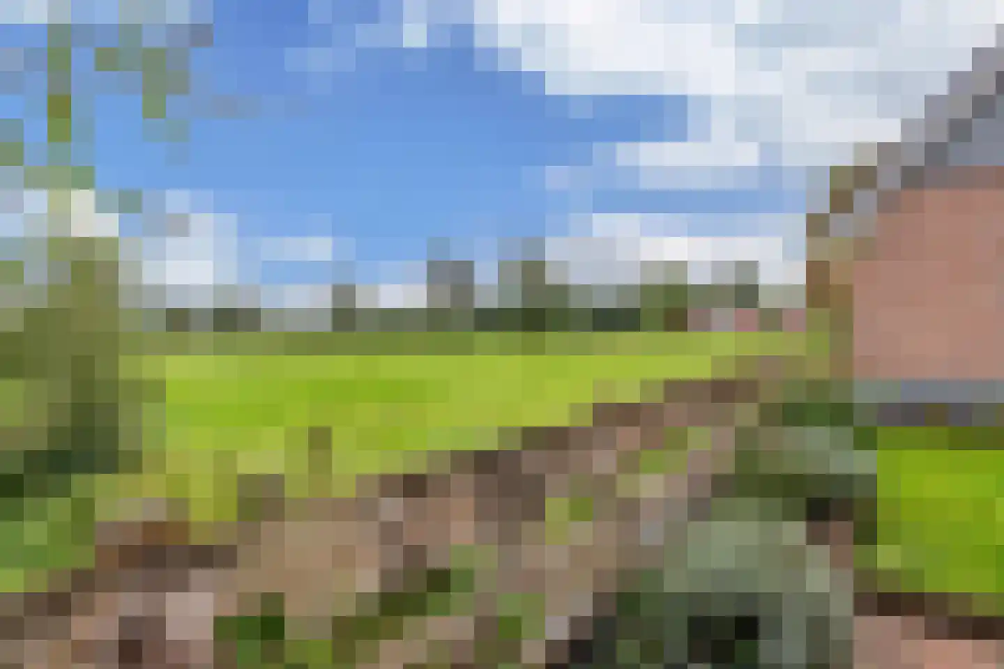 Boelenswei 7 C Boelenslaan thumbnail 61