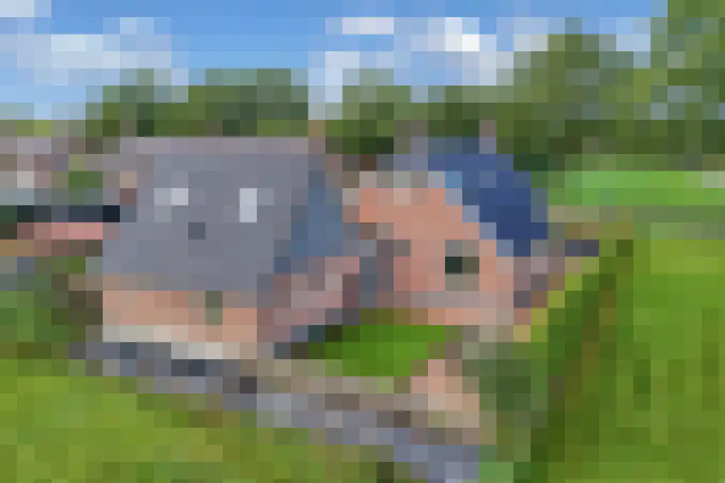 Boelenswei 7 C Boelenslaan thumbnail 7