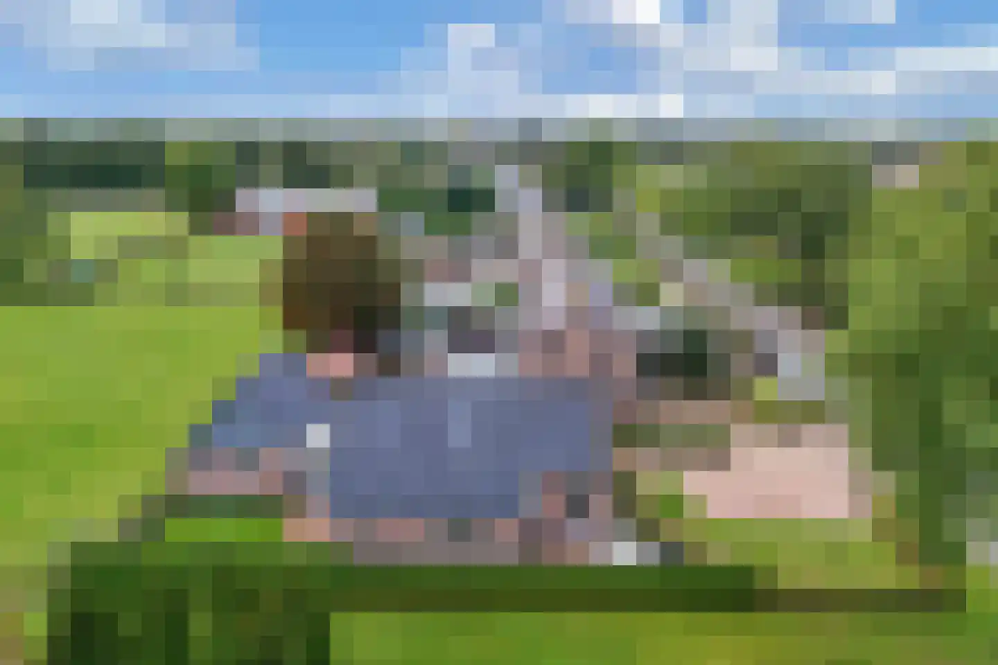 Boelenswei 7 C Boelenslaan thumbnail 70