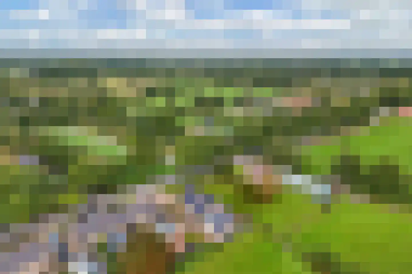 Boelenswei 7 C Boelenslaan thumbnail 72