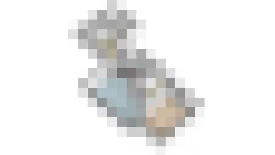 Boelenswei 7 C Boelenslaan thumbnail 76