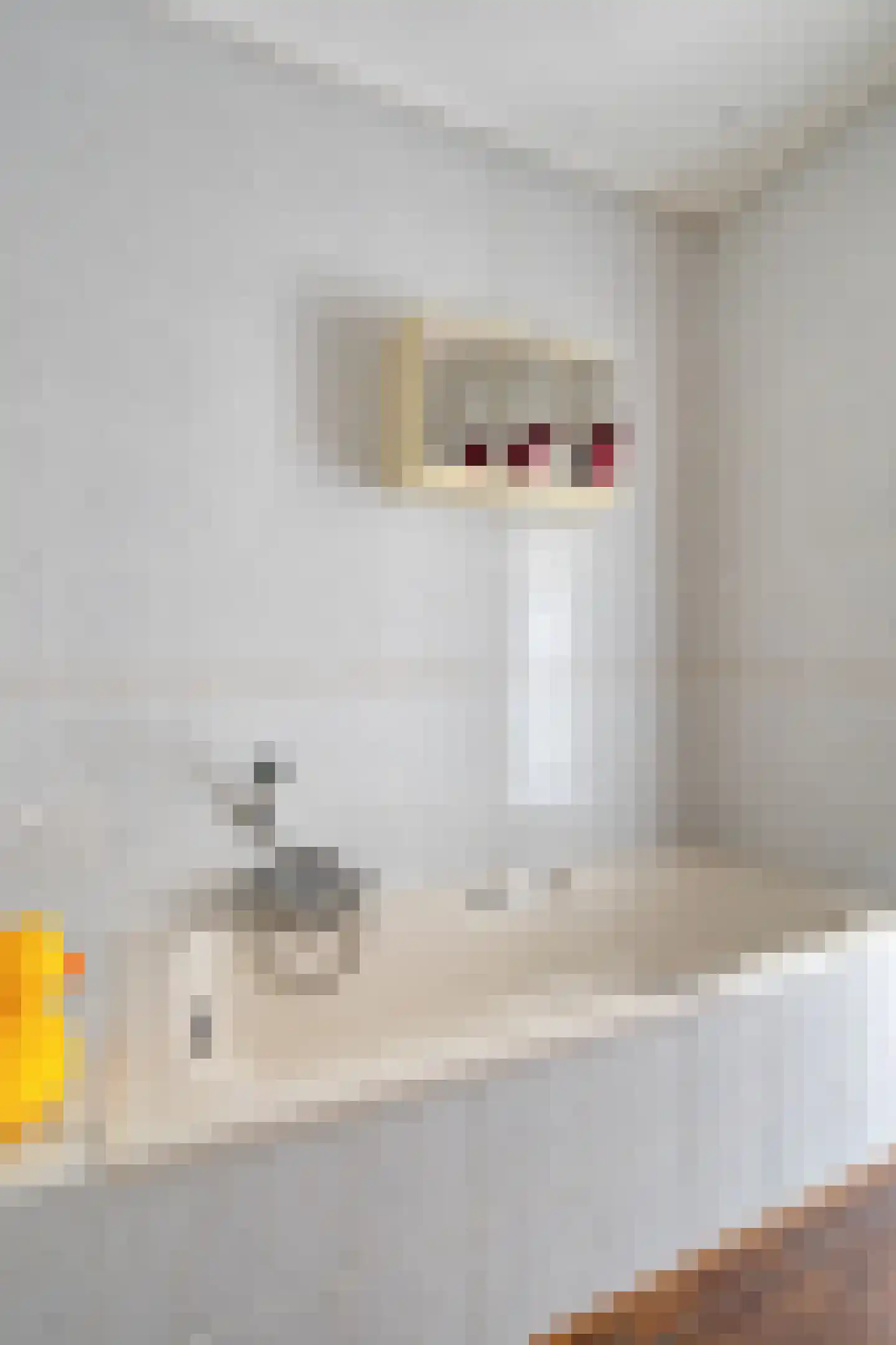 Boelenswei 70 Boelenslaan thumbnail 16
