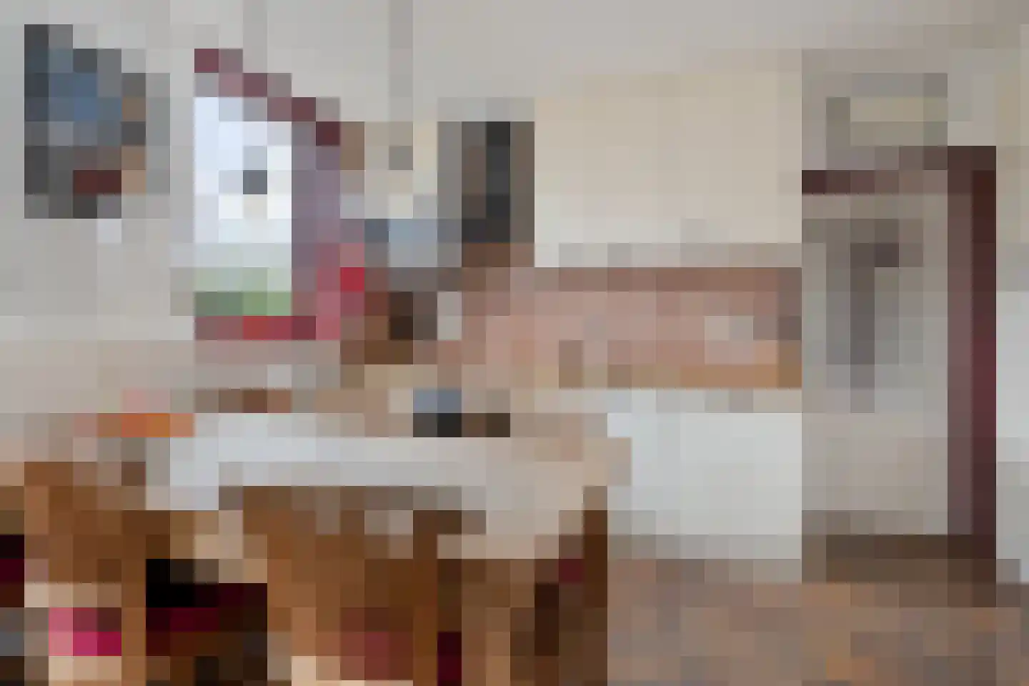 Boelenswei 70 Boelenslaan thumbnail 20