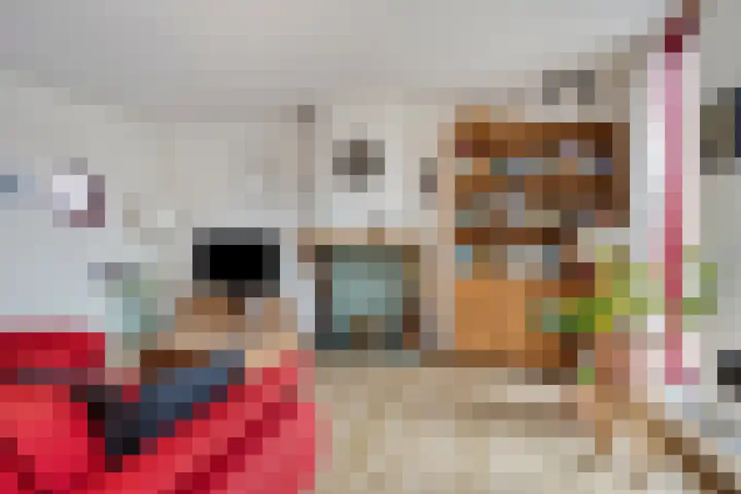 Boelenswei 70 Boelenslaan thumbnail 29