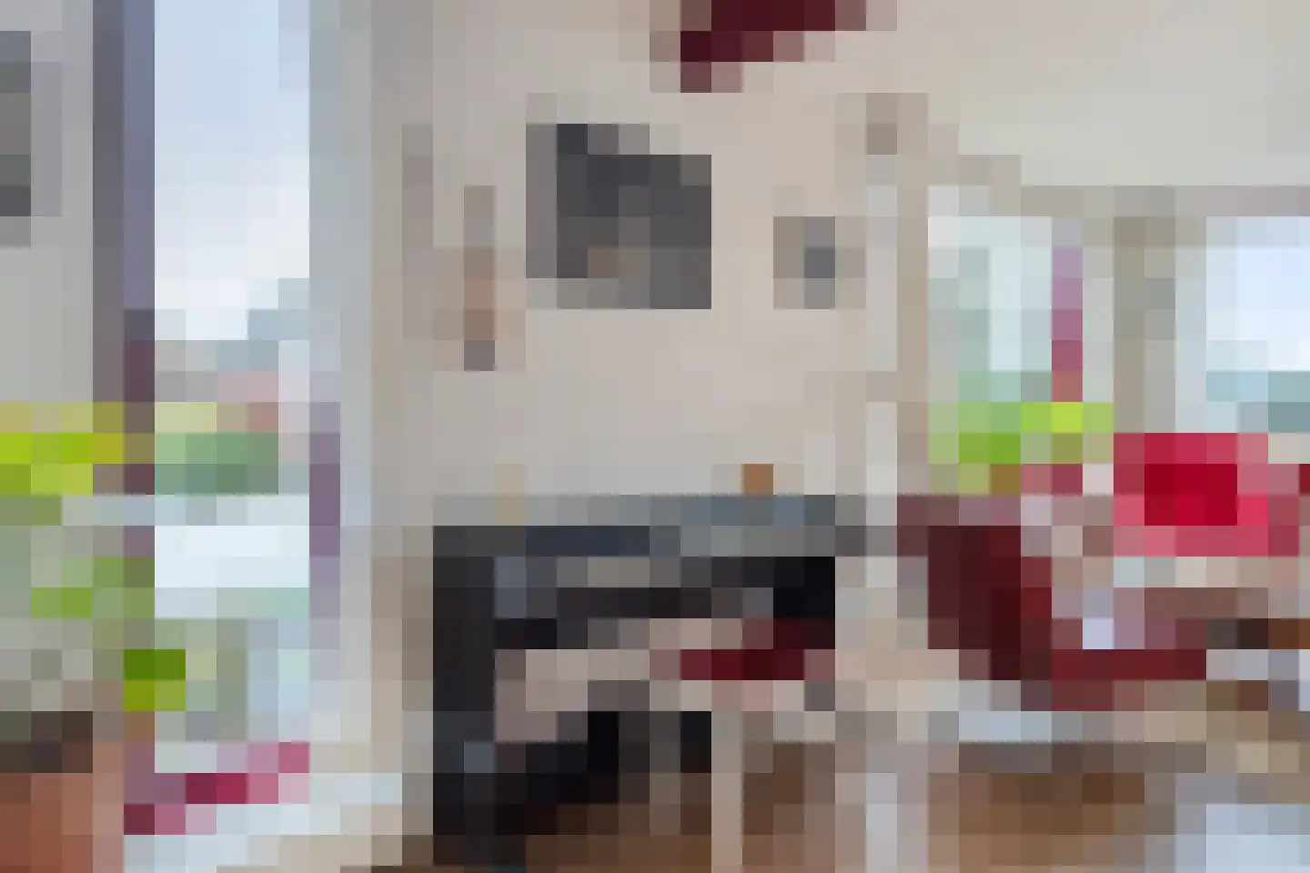 Boelenswei 70 Boelenslaan thumbnail 31