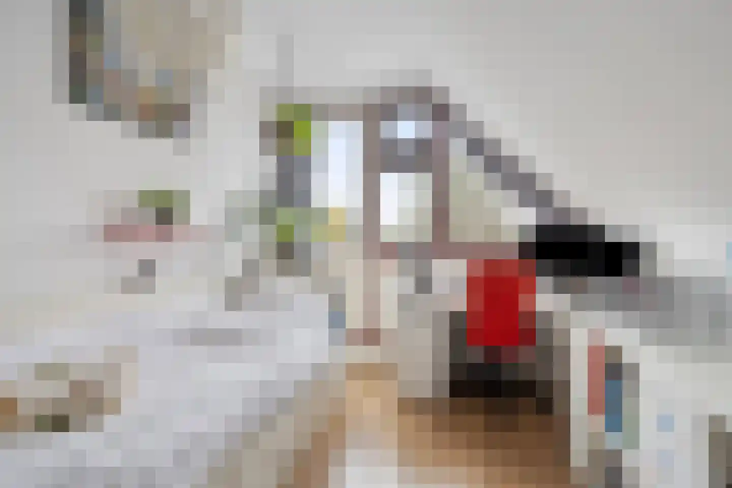 Boelenswei 70 Boelenslaan thumbnail 41