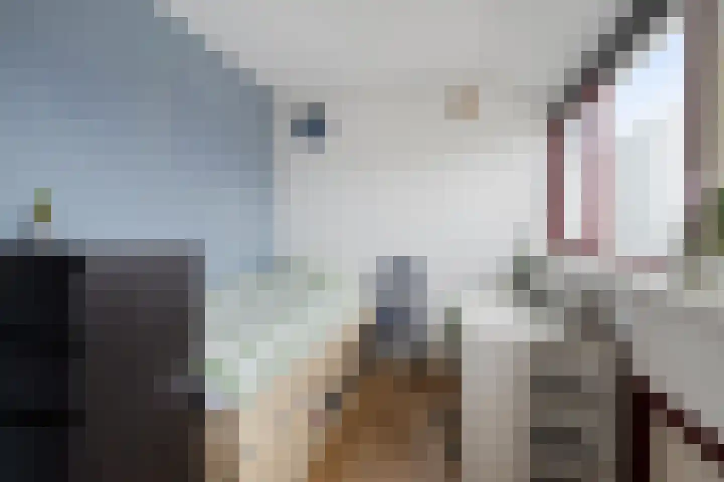 Boelenswei 70 Boelenslaan thumbnail 51