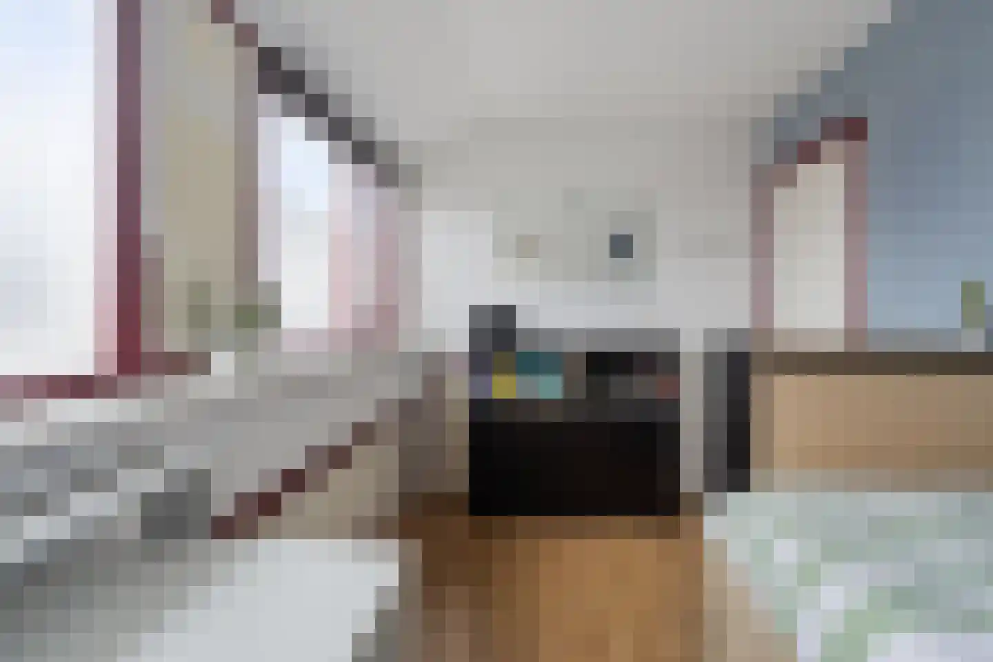 Boelenswei 70 Boelenslaan thumbnail 53