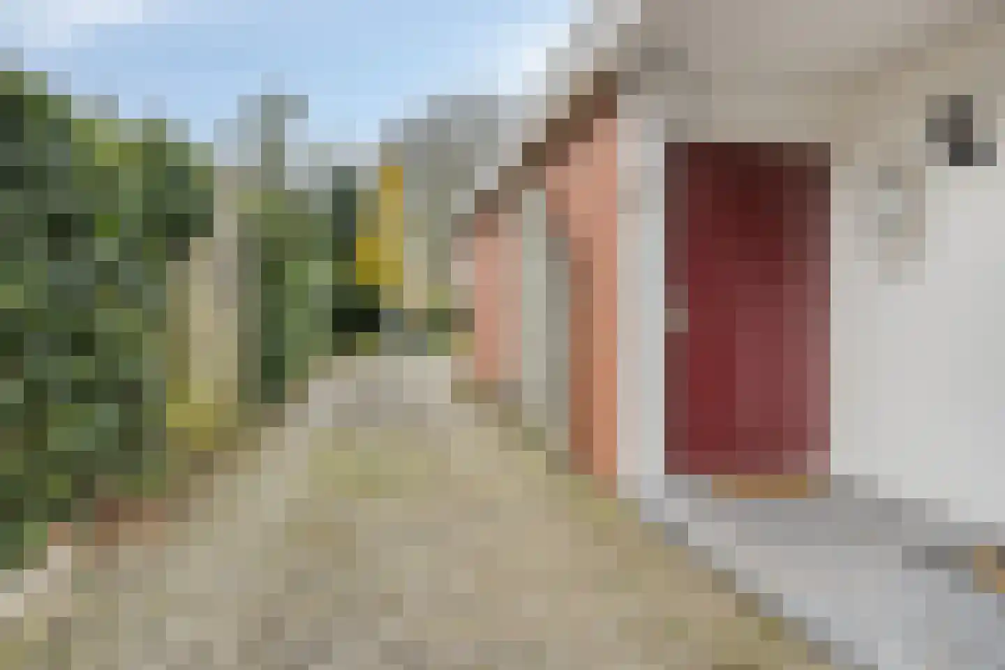 Boelenswei 70 Boelenslaan thumbnail 55