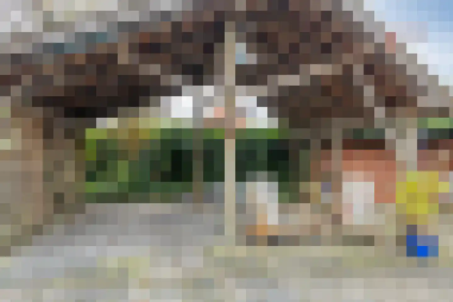 Boelenswei 70 Boelenslaan thumbnail 56