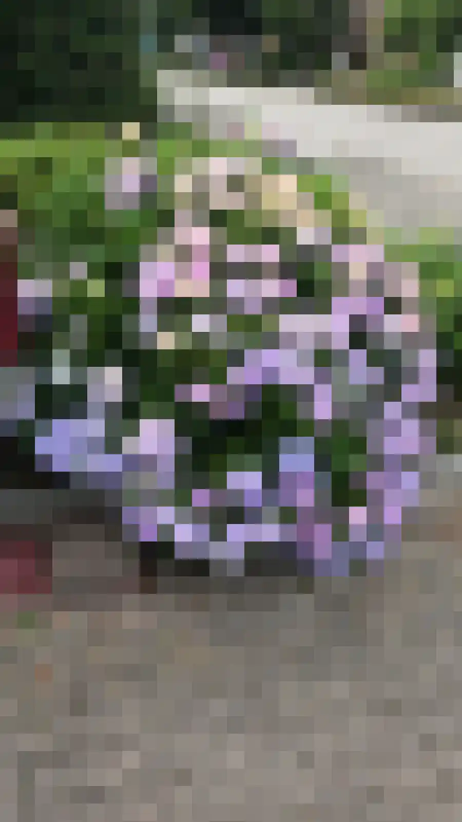 Boelenswei 70 Boelenslaan thumbnail 6