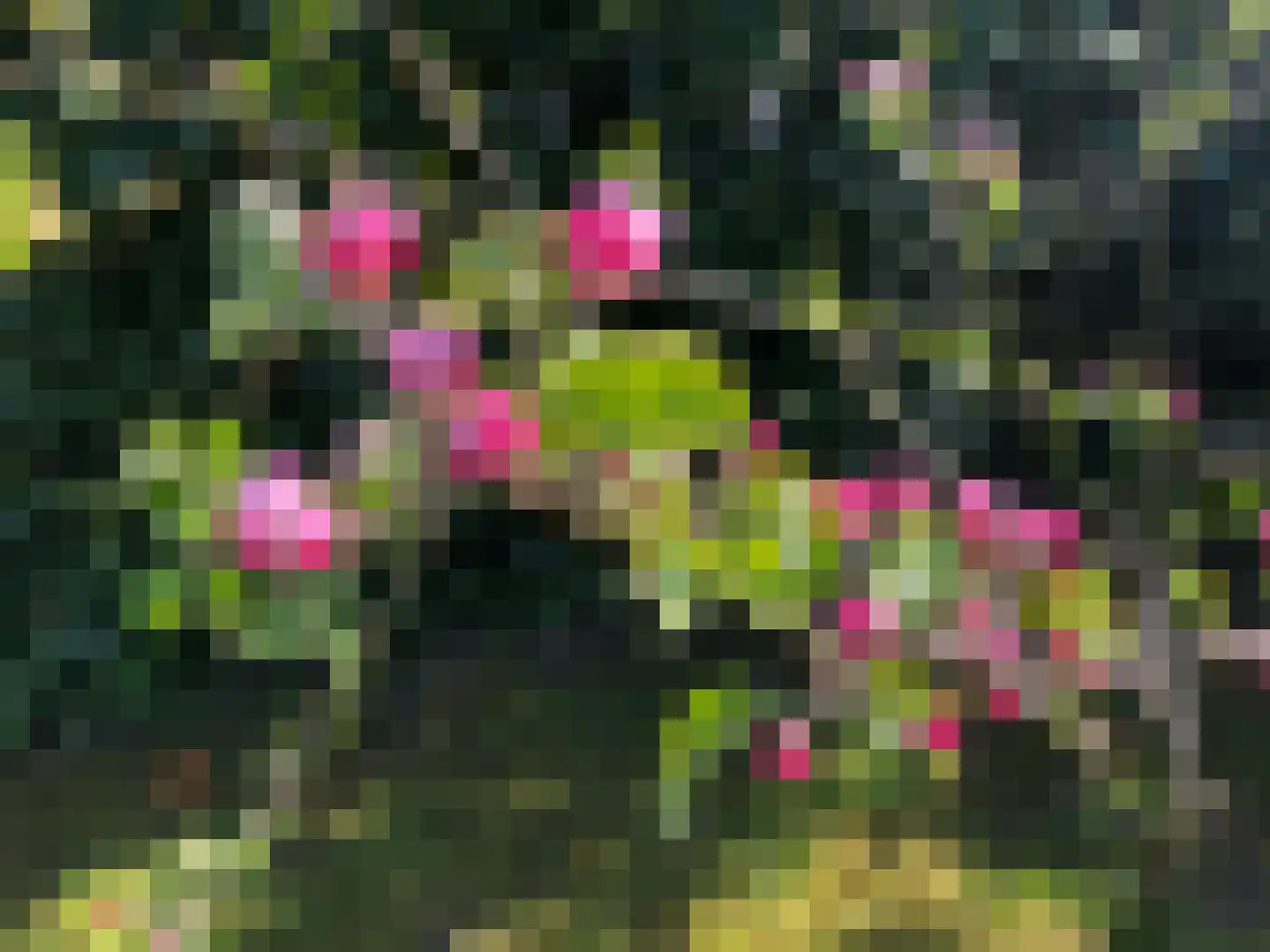 Boelenswei 70 Boelenslaan thumbnail 62