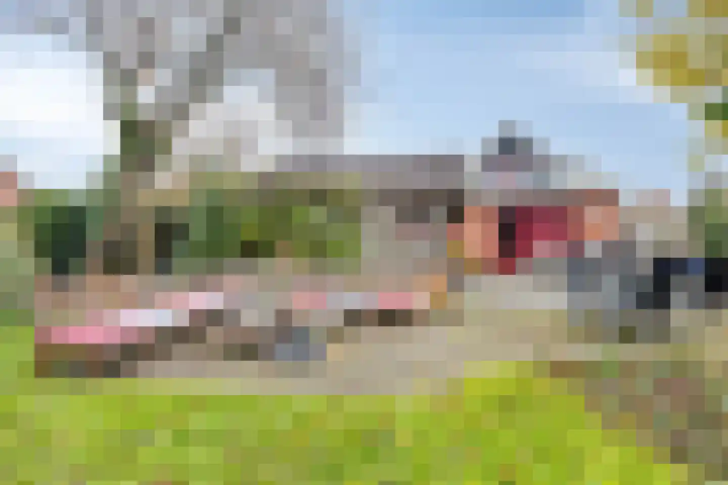 Boelenswei 70 Boelenslaan thumbnail 63