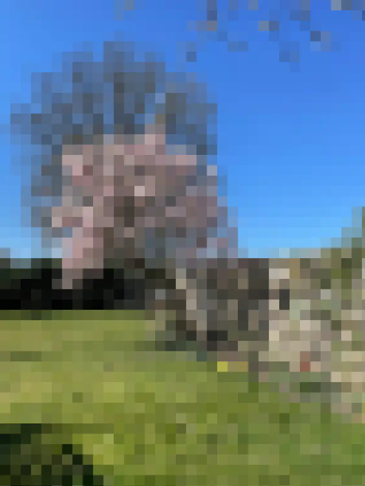Boelenswei 70 Boelenslaan thumbnail 64