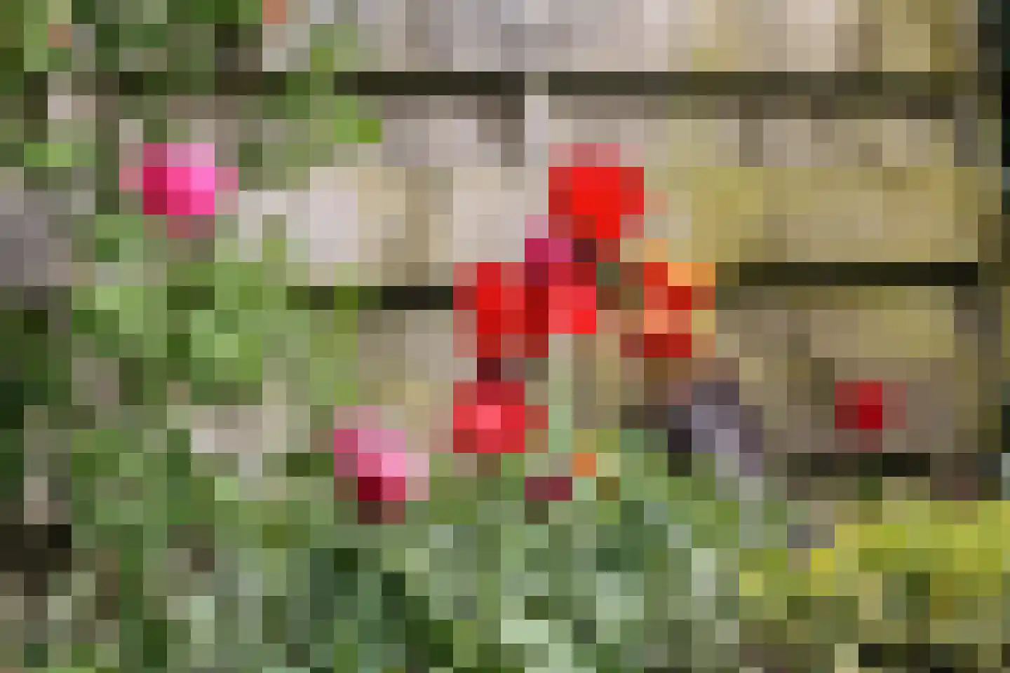 Boelenswei 70 Boelenslaan thumbnail 65