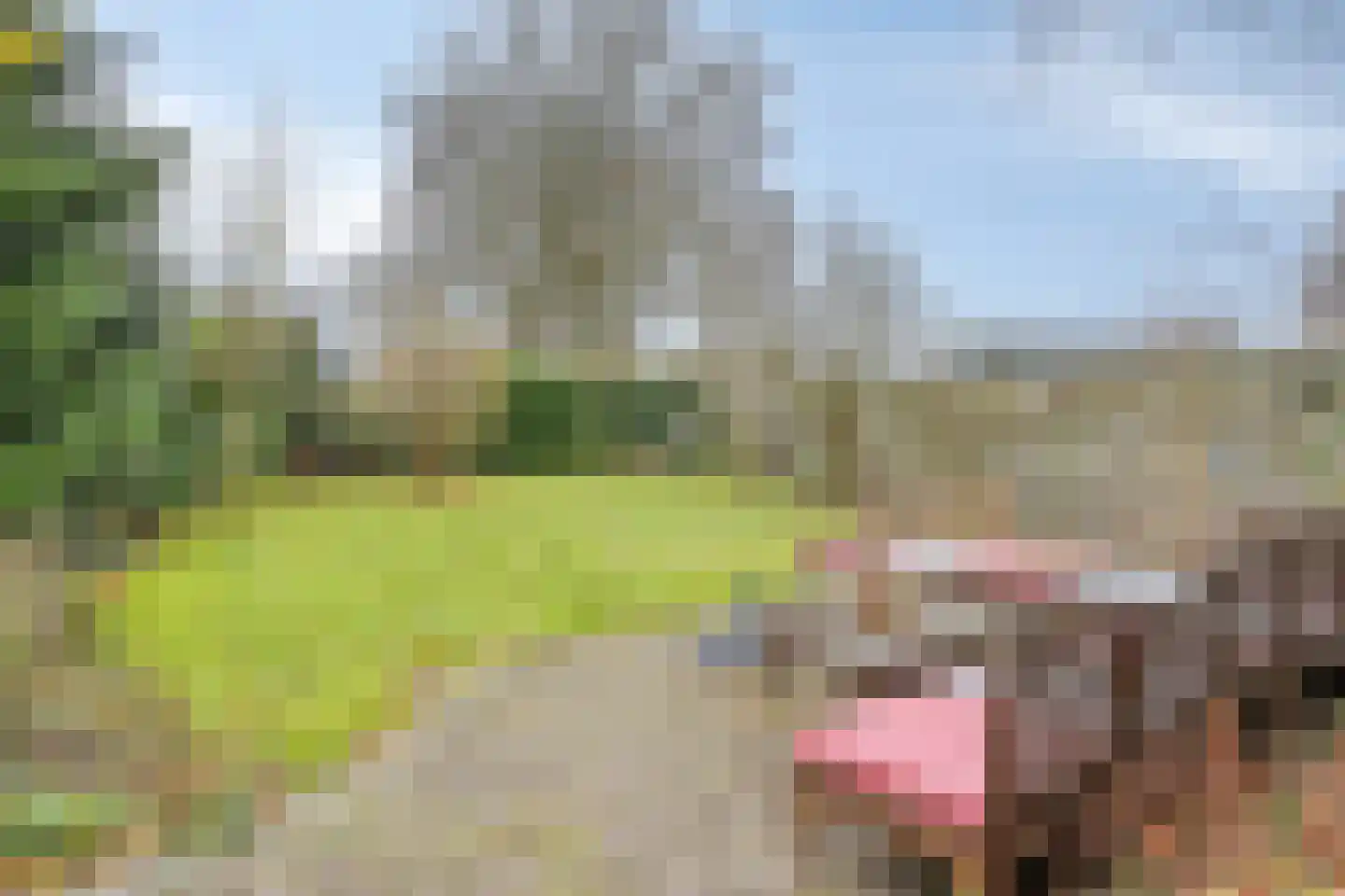 Boelenswei 70 Boelenslaan thumbnail 66