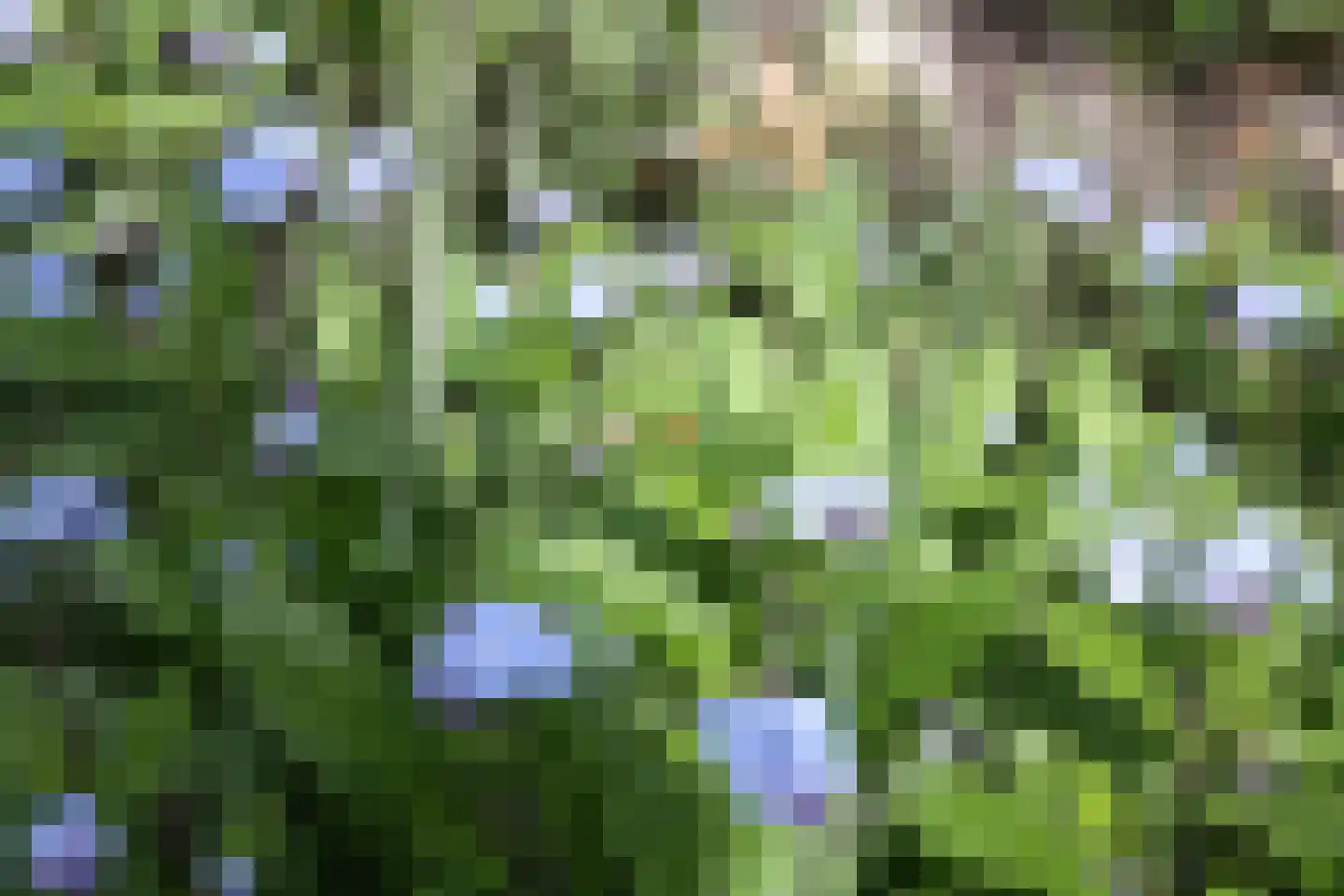 Boelenswei 70 Boelenslaan thumbnail 7