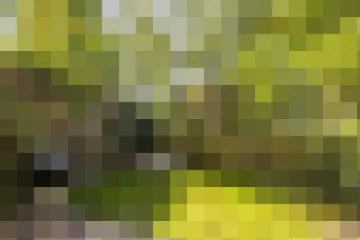 Boelestein 31 Amersfoort thumbnail 10