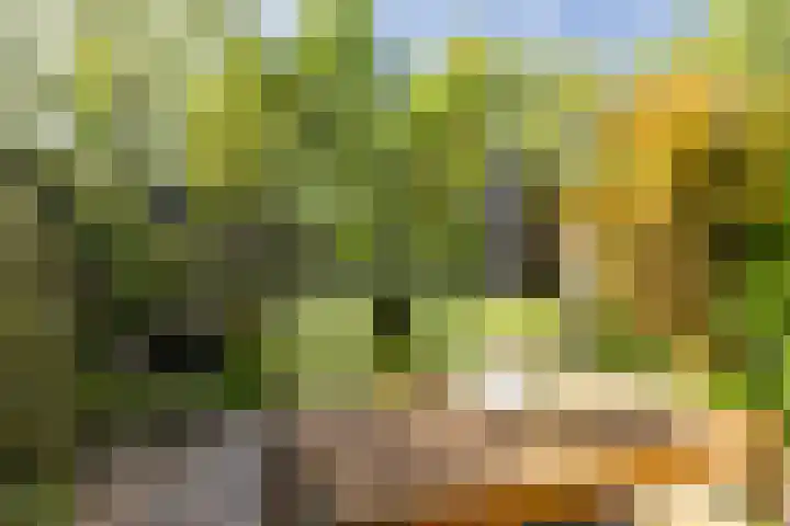 Boelestein 31 Amersfoort thumbnail 11