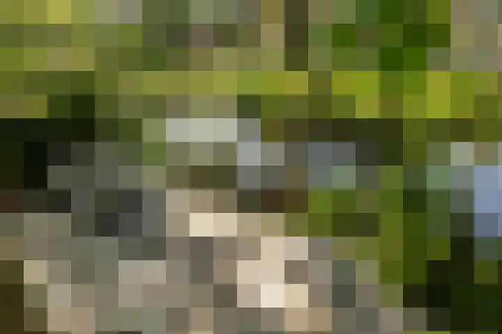 Boelestein 31 Amersfoort thumbnail 12