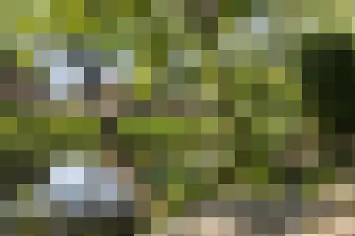 Boelestein 31 Amersfoort thumbnail 13