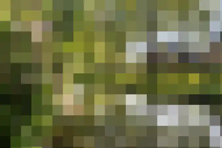 Boelestein 31 Amersfoort thumbnail 14