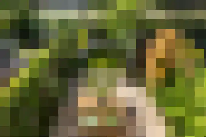 Boelestein 31 Amersfoort thumbnail 16