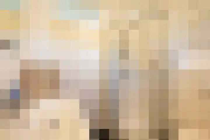 Boelestein 31 Amersfoort thumbnail 19